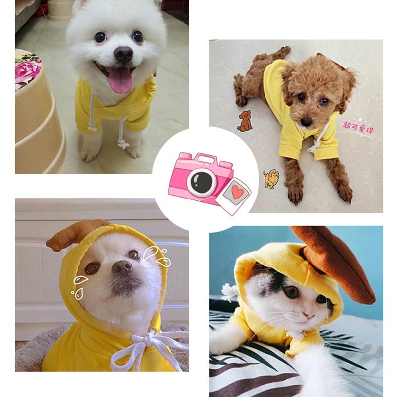 Cute Fruit Dog Clothes For Small Dogs Hoodies Winter Warm Fleece Pet Clothing Puppy Cat Costume Coat For French Chihuahua Outfit - Image 6