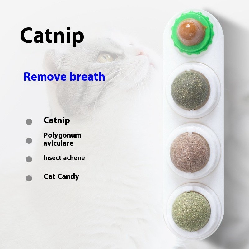 4 In 1 Rotating Catnip Silver Vine Ball Teeth Cleaning Acne Prevention Digestive Health Wall Stick On Toy Edible Safe Material - Image 10